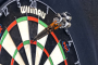 PDC dartboard